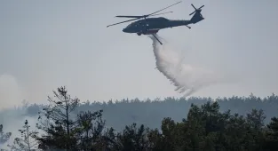 GÜNCELLEME 2 - İzmir'in Bornova ilçesinde çıkan orman yangınına müdahale ediliyor