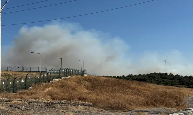 GÜNCELLEME 2 - İzmir'in Urla ilçesinde çıkan orman yangınına müdahale ediliyor