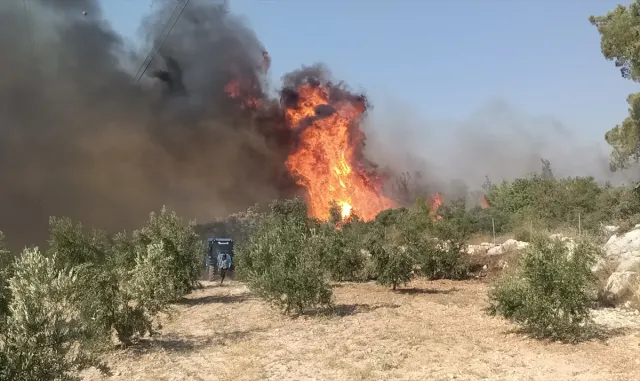 GÜNCELLEME 2 - Mersin'in Silifke ilçesinde çıkan orman yangınına müdahale ediliyor