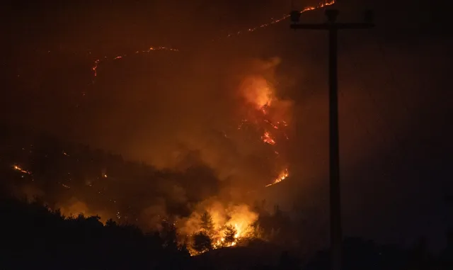 GÜNCELLEME 2 - Sakarya'da çıkan orman yangını nedeniyle iki mahalle tahliye edildi