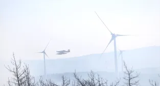 GÜNCELLEME 2- Tekirdağ'da çıkan orman yangını Çanakkale'ye sıçradı