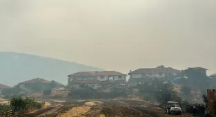 GÜNCELLEME 2 - Uşak'ta çıkan orman yangınına müdahale ediliyor