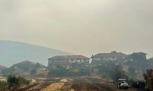 GÜNCELLEME 2 - Uşak'ta çıkan orman yangınına müdahale ediliyor
