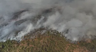 GÜNCELLEME 3 - Bursa'nın Orhaneli ilçesindeki orman yangınına müdahale sürüyor