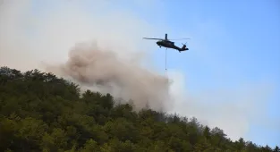 GÜNCELLEME 3 - Eskişehir'de ormanlık alanda çıkan yangına müdahale ediliyor