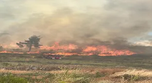  GÜNCELLEME - Bilecik'te çıkan orman yangınına müdahale ediliyor