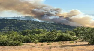 GÜNCELLEME - Bolu'nun Göynük ilçesinde çıkan orman yangınına müdahale ediliyor