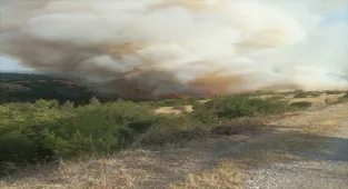 GÜNCELLEME - Bursa-Balıkesir sınırında çıkan orman yangını kontrol altına alındı