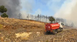 GÜNCELLEME - Bursa'da çıkan orman yangınına müdahale ediliyor