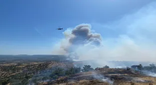 GÜNCELLEME - Çanakkale'de çıkan orman yangınına müdahale ediliyor