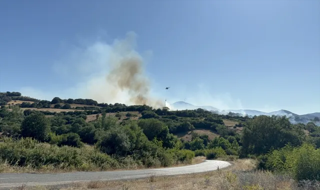 GÜNCELLEME - Çanakkale'de tarım alanında çıkan yangın kontrol altına alındı