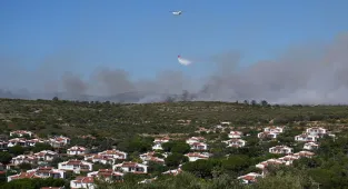 GÜNCELLEME - Çeşme'de ziraat alanında başlayıp ormana sıçrayan yangına müdahale ediliyor