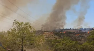 GÜNCELLEME - Denizli'nin Çal ilçesinde çıkan orman yangını kontrol altına alındı