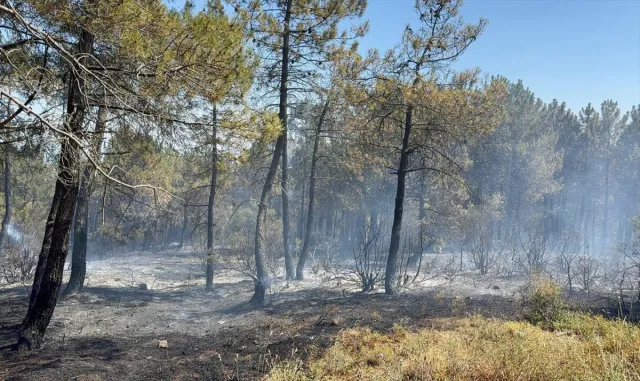 GÜNCELLEME - İstanbul'da Aydos Ormanı'nda çıkan yangın söndürüldü