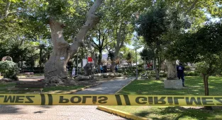 GÜNCELLEME - Kocaeli'de üzerlerine ağaçtan dal düşen 1 kişi öldü, 2 kişi yaralandı