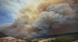 GÜNCELLEME - Sakarya'da ormanlık alanda çıkan yangın Bilecik tarafına sıçradı