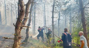 GÜNCELLEME - Sakarya'da ormanlık alanda çıkan yangın kontrol altına alındı