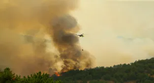 GÜNCELLEME - Uşak'ta orman yangını