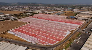 İzmir'de kavurucu sıcakta kuru domates mesaisi başladı