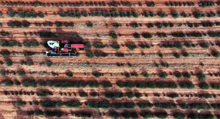 Kıraç arazileri değerlendiren çiftçilerin yüzü lavantayla güldü