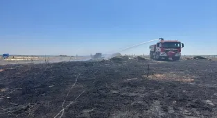 Kırklareli'nde tarım arazisinden ormanlık alana sıçrayan yangına müdahale ediliyor