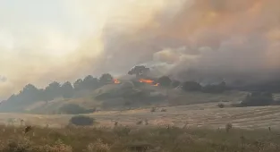 Kütahya'da kontrol altına alınan orman yangınında soğutma çalışmaları sürüyor