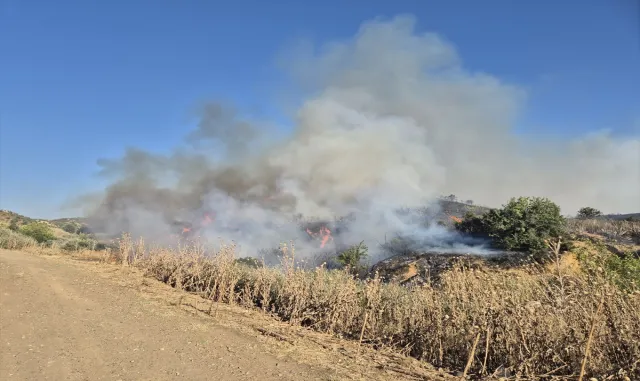 Manisa'da makilik alanda çıkan yangına müdahale ediliyor