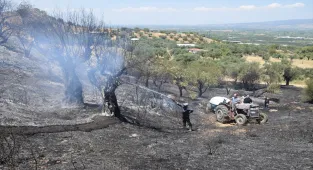 Manisa'da tarım arazisinde çıkan yangın kontrol altına alındı