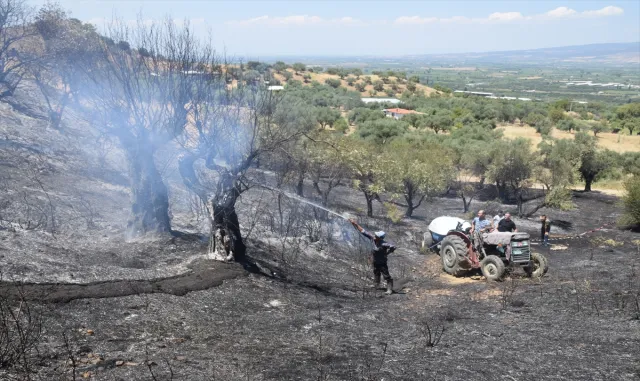 Manisa'da tarım arazisinde çıkan yangın kontrol altına alındı