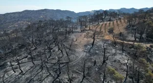 Manisa'daki orman yangınlarında zarar gören alanlar dronla görüntülendi