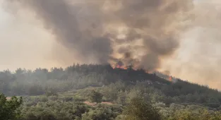 Manisa'nın Saruhanlı ilçesinde çıkan orman yangını kontrol altına alındı
