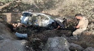 Mardin'de devrilen hafif ticari araçtaki 2 kişi yaralandı