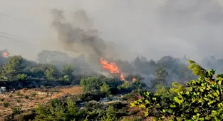 Mersin'in Silifke ilçesinde çıkan orman yangınına müdahale ediliyor
