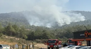 Sakarya'dan Bilecik tarafına sıçrayan orman yangınına 3. gününde müdahale sürüyor