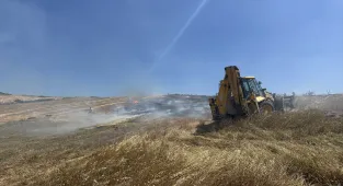 Samsun'da çıkan yangında yaklaşık 50 dönüm tarım arazisi zarar gördü