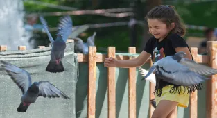 Sıcak havada Başkentliler park ve açık alanlara yöneldi