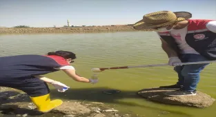 Şırnak'ta iki göletteki balık ölümleri nedeniyle inceleme başlatıldı