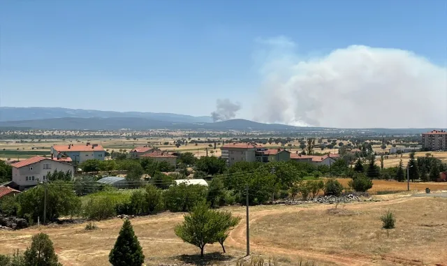 Uşak'ta meşelik alanda çıkan yangın kontrol altında
