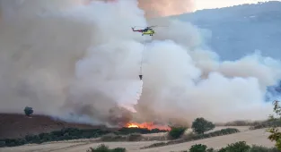 Balıkesir Susurluk'taki orman yangını kontrol altına alındı