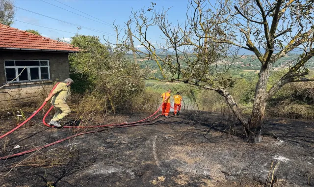 Bartın'da çıkan anız yangını söndürüldü