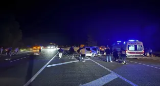 Bingöl'de ata çarpan hafif ticari araçtaki 1 kişi hayatını kaybetti