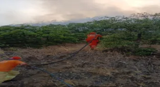 Bingöl'de çıkan orman yangını söndürüldü