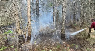 Bolu'da kontrol altına alınan orman yangınında soğutma çalışmaları sürüyor