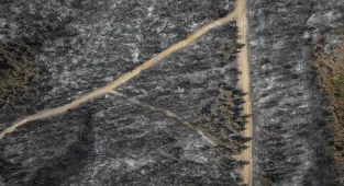 Çanakkale'de yangında zarar gören alanlar dronla görüntülendi