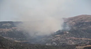 Çorum'da ormanlık alanda çıkan yangına müdahale ediliyor