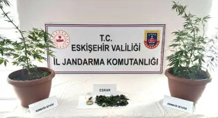 Eskişehir'de evinin balkonunda Hint keneviri yetiştirdiği iddia edilen şüpheli yakalandı