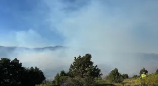 Gümüşhane'deki orman yangını söndürüldü