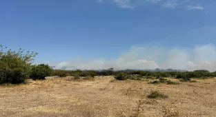 GÜNCELLEME 2 - Bursa'da çıkan orman yangını kontrol altına alındı