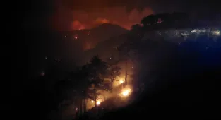 GÜNCELLEME 2 - Denizli'de çıkan orman yangınına müdahale sürüyor