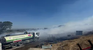 GÜNCELLEME 2 - Edirne'de çıkan orman yangınına müdahale ediliyor 